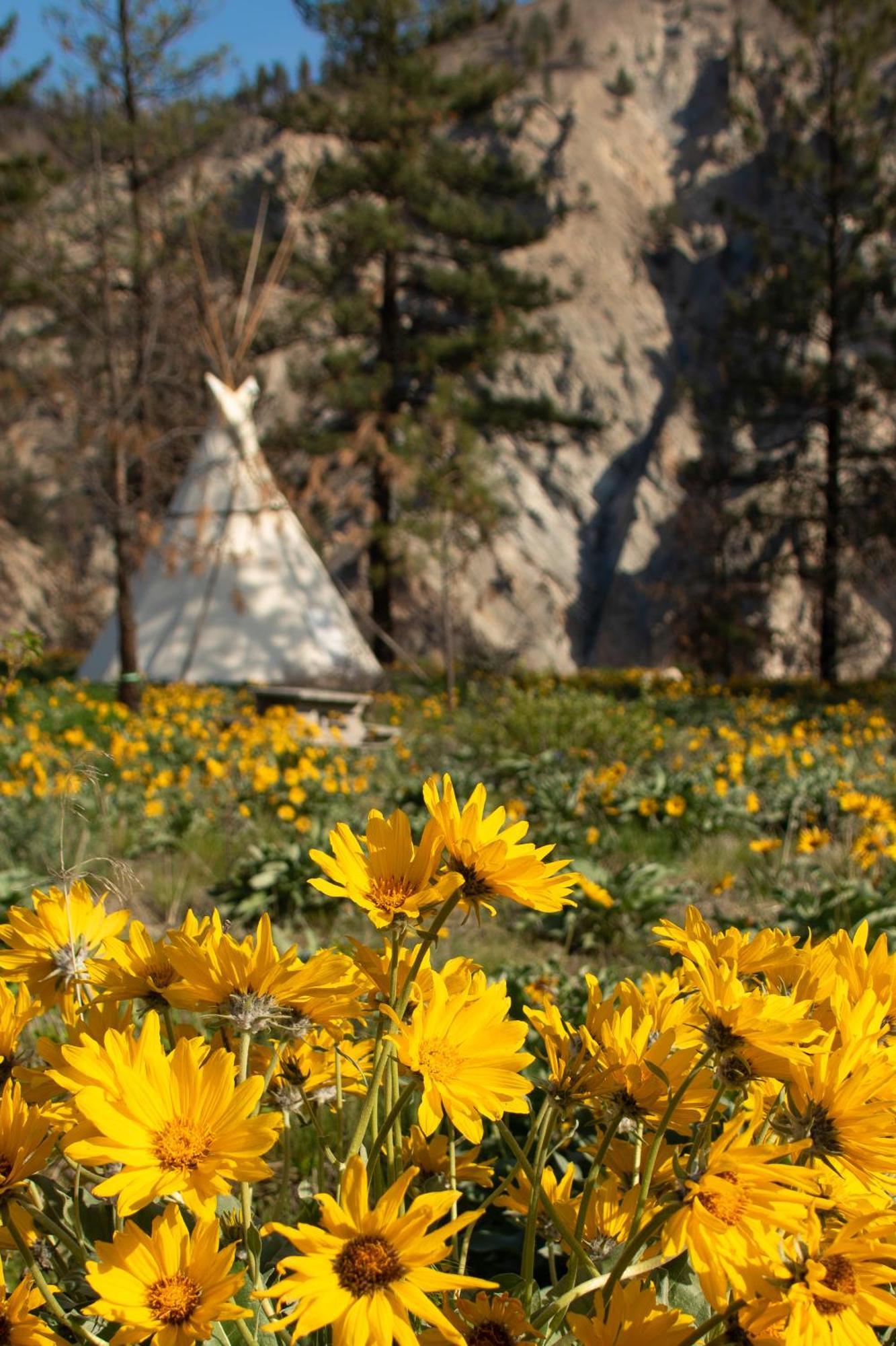 Kumsheen Rafting Resort Lytton Exterior foto