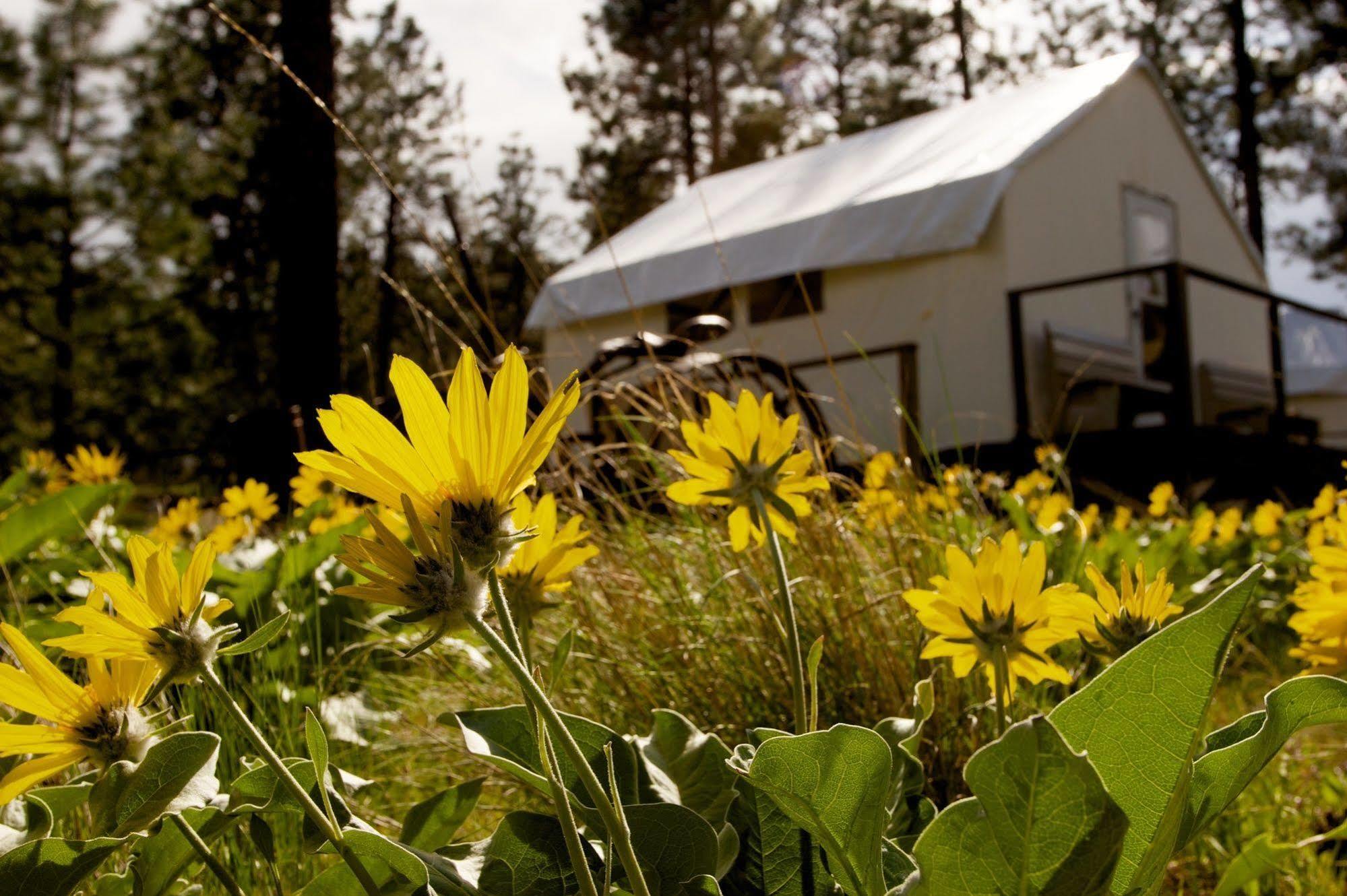 Kumsheen Rafting Resort Lytton Exterior foto